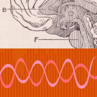 Illustration of a human ear cross-section above, with a pink sound wave graphic on a red background below.