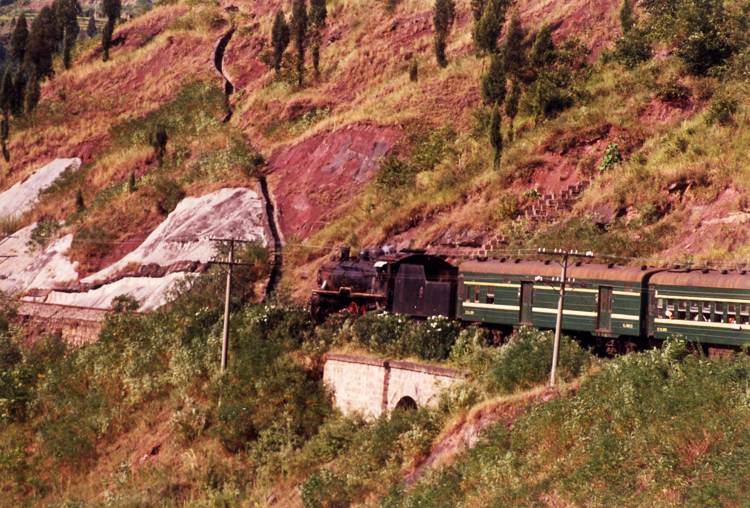 A steam locomotive pulling green passenger cars travels along a hillside track in China, surrounded by grass, shrubs, and trees.