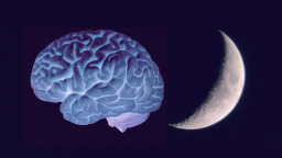 A digital illustration of a human brain next to a crescent moon on a dark background.