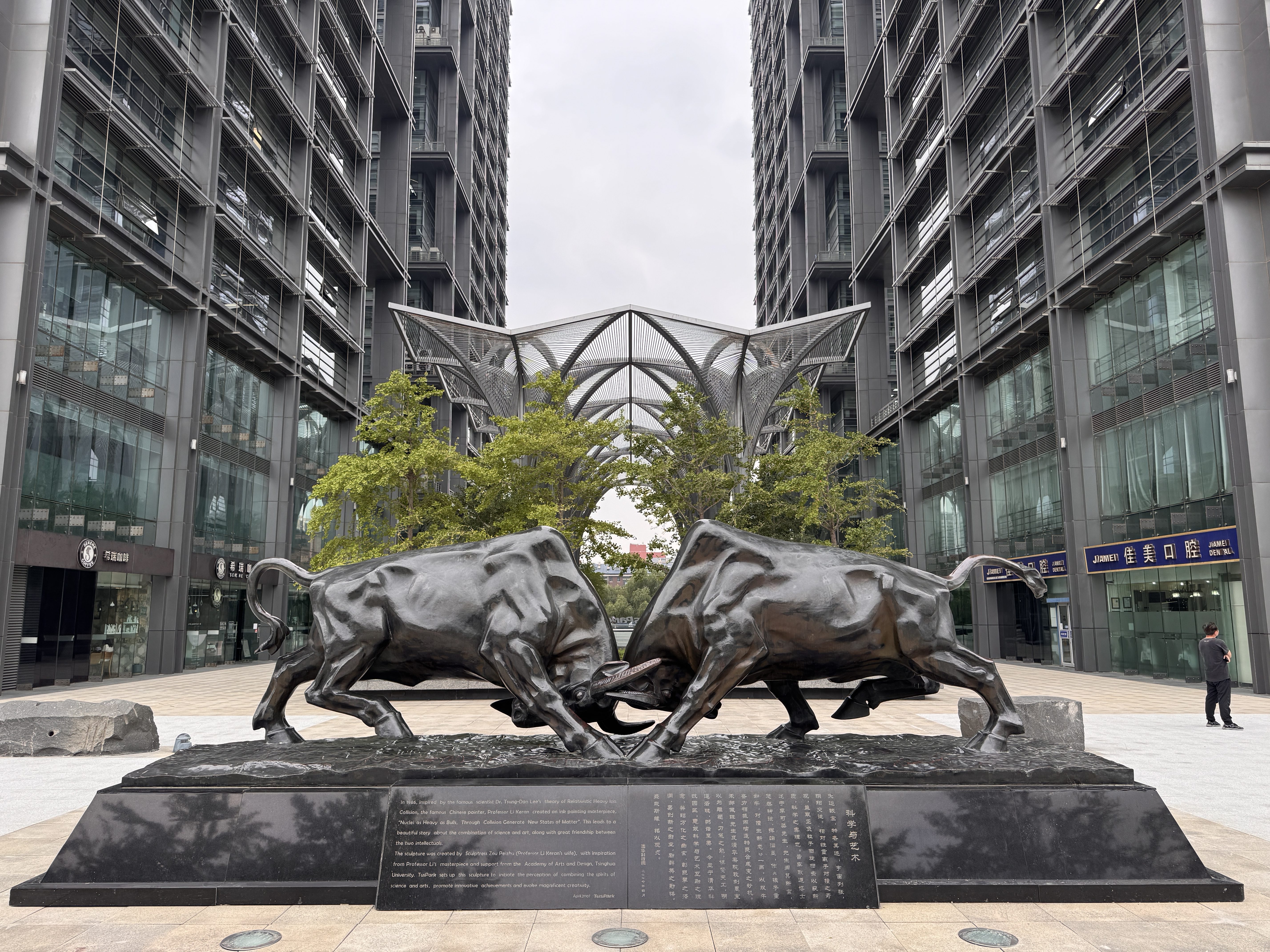 Two bronze bull statues locked in combat are displayed on a plaza in China between modern glass buildings, with trees and a metal canopy structure in the background.